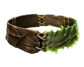 Belt of Split Carapace